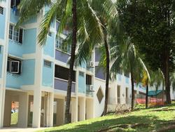 Blk 235 Bukit Panjang Ring Road (Bukit Panjang), HDB 5 Rooms #73494092